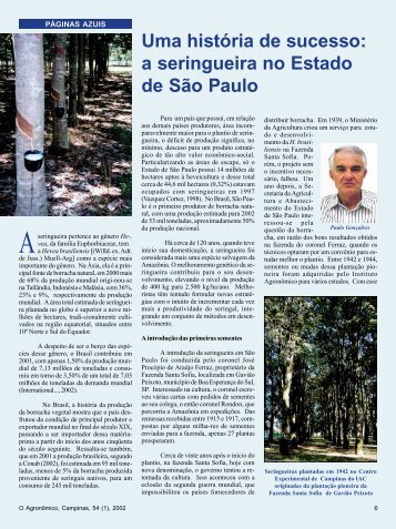 Uma história de sucesso: a seringueira no Estado de São Paulo - IAC