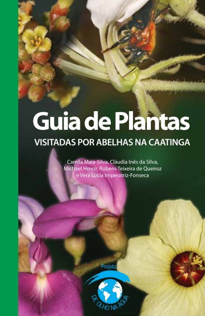 Guia de plantas visitadas por abelhas na caatinga - Ministério do ...