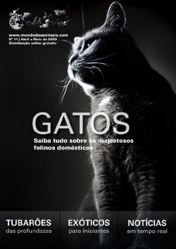 tema de capa - Mundo dos Animais