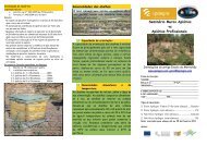 Remeter à Apilegre: