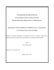 Relatorio Final-2012.full.pdf
