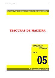 Tesouras de Madeira.pdf