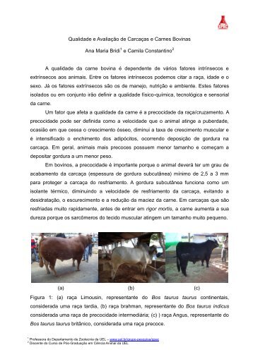 Qualidade e Avaliação de Carcaças e Carnes Bovinas Ana Maria ...