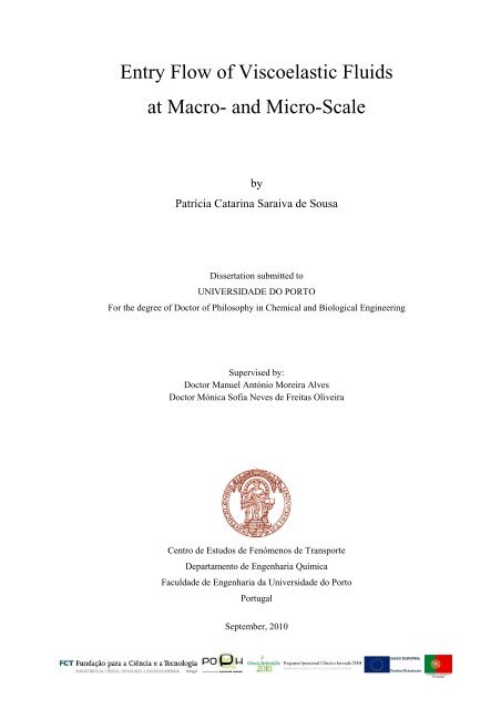 Entry Flow of Viscoelastic Fluids at Macro- and Micro-Scale