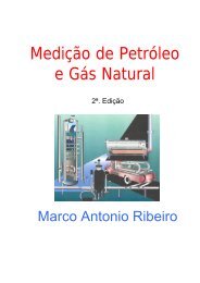Medicao Petroleo & Gas Natural 2a ed.pdf - DCA