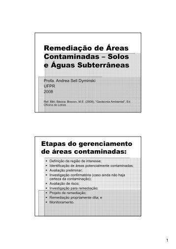 Remediação de Áreas Contaminadas – Solos e Águas - Cesec