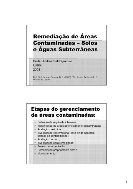 Remediação de Áreas Contaminadas – Solos e Águas - Cesec