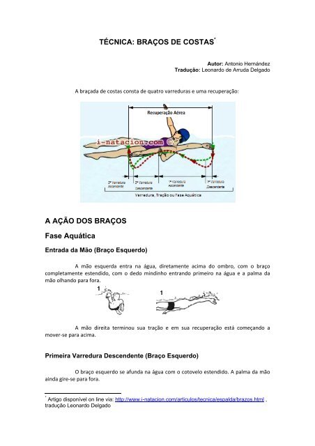 TÉCNICA: BRAÇOS DE COSTAS A AÇÃO DOS  - Aquabarra