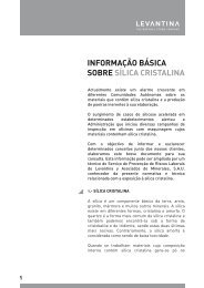 informação básica sobre sílica cristalina 1 - Levantina