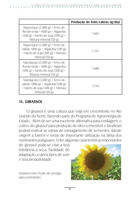 produção estratégica de alimentos para a pecuária familiar