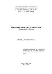 Dissertacao Graciela Pessoa Martins.pdf - Caunesp