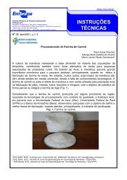 Nº 38, Processamento de farinha de carimã.