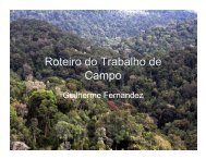 Roteiro do Trabalho de Campo - Light