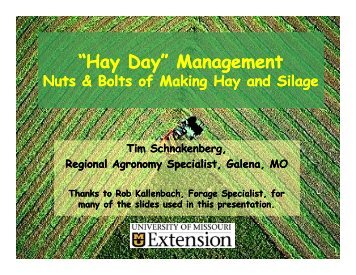 “Hay Day” Management