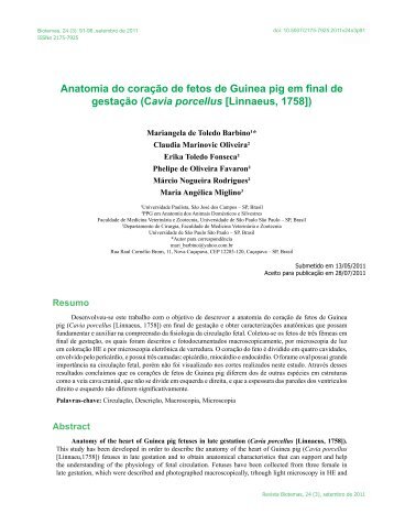 Anatomia do coração de fetos de Guinea pig em final de ... - Biotemas