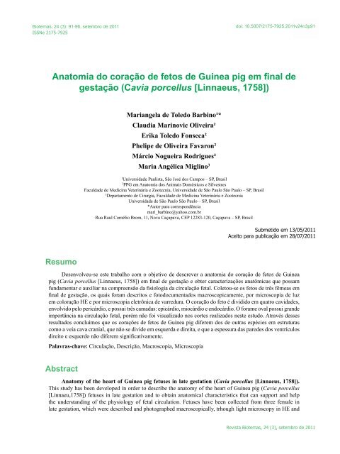 Anatomia do coração de fetos de Guinea pig em final de ... - Biotemas
