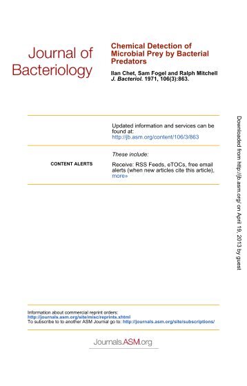 Bacterial Predators - Journal of Bacteriology - American Society for ...