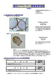 瀬田川プランクトン調査結果速報 滋賀県琵琶湖環境科学研究センター 瀬田川プランクトン調査結果速報 滋賀県琵琶湖環境科学研究センター