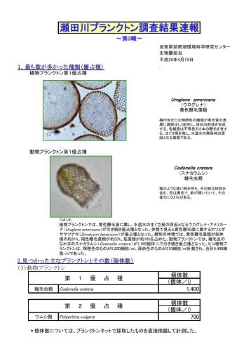 瀬田川プランクトン調査結果速報 - 滋賀県琵琶湖環境科学研究センター