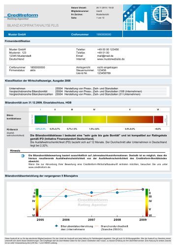 Muster "Creditreform Bilanz-Kompaktanalyse Plus"