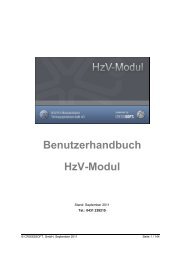 Benutzerhandbuch HzV-Modul - crosssoft.