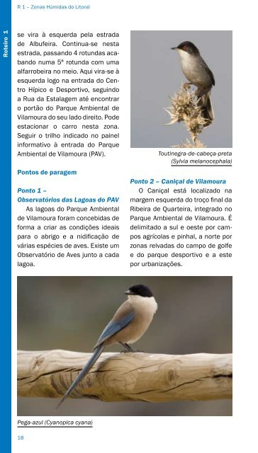 Observar Aves no Concelho de Loulé - Câmara Municipal de Loulé