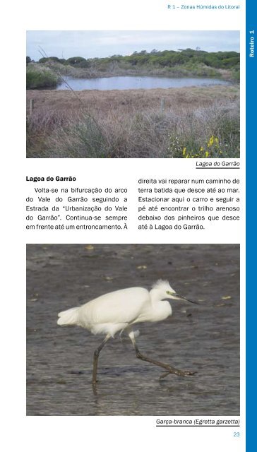 Observar Aves no Concelho de Loulé - Câmara Municipal de Loulé