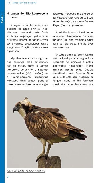 Observar Aves no Concelho de Loulé - Câmara Municipal de Loulé