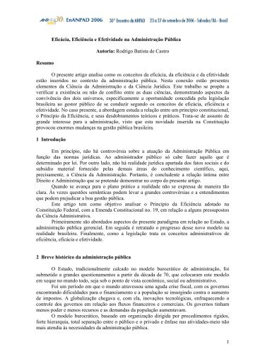 Eficácia, Eficiência e Efetividade na Administração Pública - Anpad