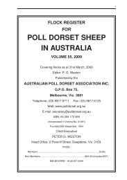 2009 flock register vol 55.pdf - Australian Poll Dorset Association Inc