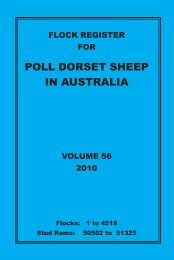 poll dorset sheep in australia - Australian Poll Dorset Association Inc