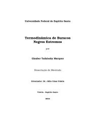 Termodinâmica de Buracos Negros Extremos - CCE/UFES