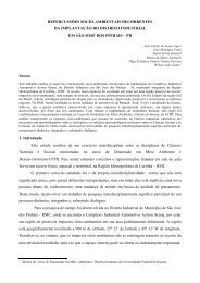 1 REPERCUSSÕES SÓCIO-AMBIENTAIS ... - ANPPAS