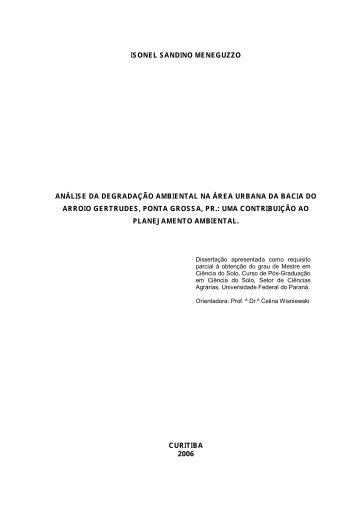 isonel sandino meneguzzo análise da degradação ambiental