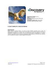 O GUIA COMPLETO: AVES DE RAPINA - Discovery na Escola