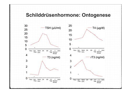 Fetale Entwicklung der Schilddrüse, 11.400 Kb