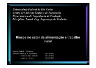 Riscos no setor de alimentação e trabalho rural - SimuCAD