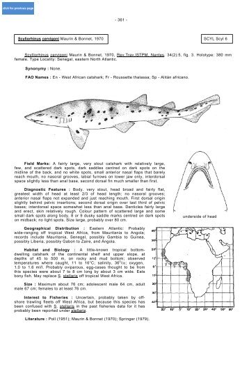 - 361 - Scyliorhinus cervigoni Maurin & Bonnet, 1970 SCYL Scyl 6 ...