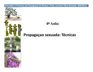 Propagaçao sexuada: Técnicas