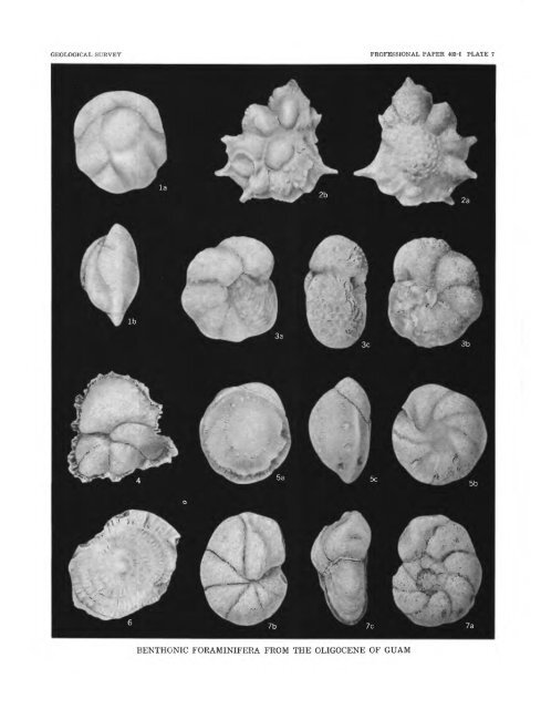 Smaller Foraminifera From Guam - USGS