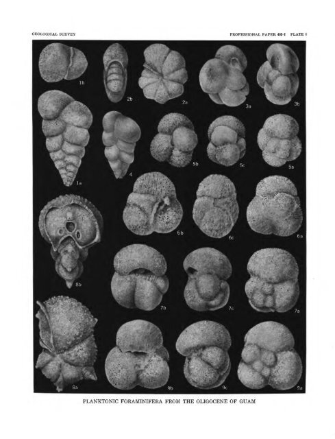 Smaller Foraminifera From Guam - USGS