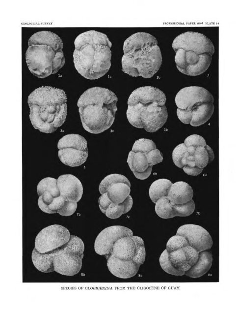 Smaller Foraminifera From Guam - USGS