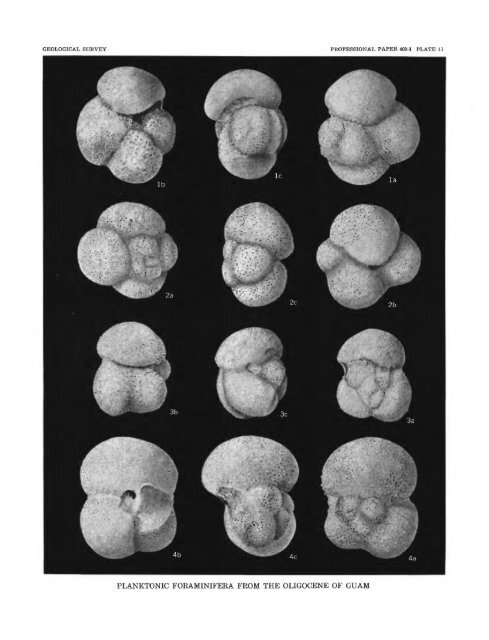 Smaller Foraminifera From Guam - USGS