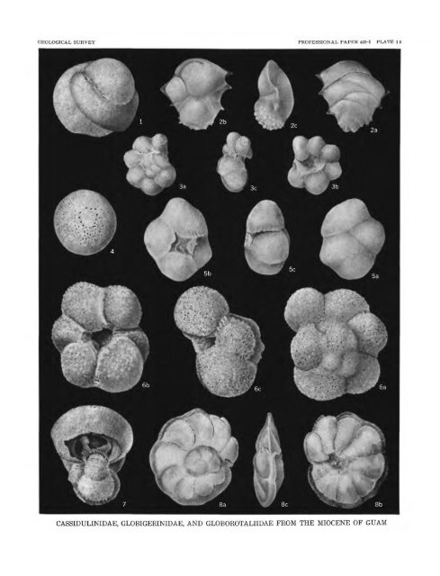 Smaller Foraminifera From Guam - USGS