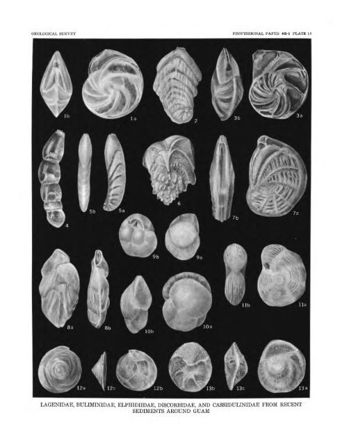 Smaller Foraminifera From Guam - USGS