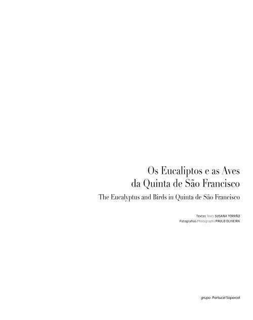 Os Eucaliptos e as Aves da Quinta de São Francisco