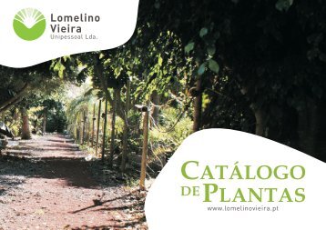 CATÁLOGO DEPLANTAS - Lomelino Vieira » Em Construção