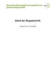 Stand der Biogastechnik - IB GmbH