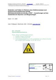 als pdf - file (doc-Version) - IB GmbH