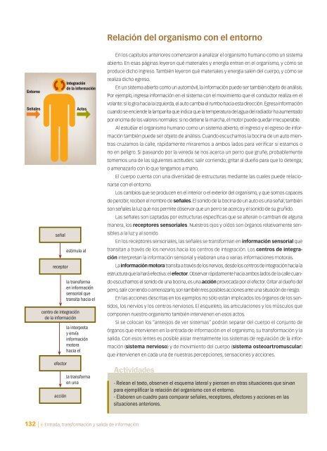 CAPÍTULO 6: Entrada, transformación y salida de información